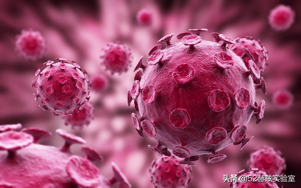 你的存在，探寻生命意义与无限可能的答案