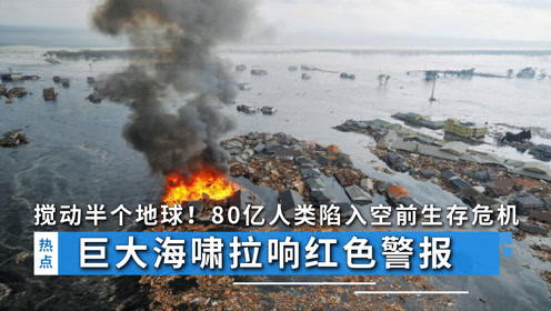 欧洲最大核电站之一的危机，红色警报频发，国际原子能机构应对炮击现状的挑战与应对之道