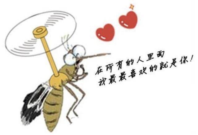 今年夏天蚊子数量减少，是热浪所致还是其他原因？探究真相。