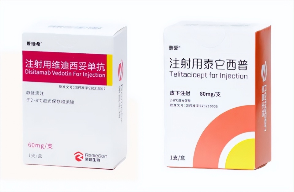 和铂医药独家授权辉瑞ADC新药，引领行业创新增长超8%新篇章！