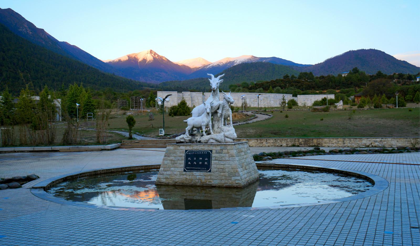 西藏林芝，雪山桃花盛开迎客来