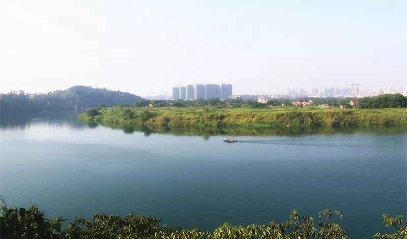 耒水水质全线恢复，生态美景再现，水质正常化带来生态新变化