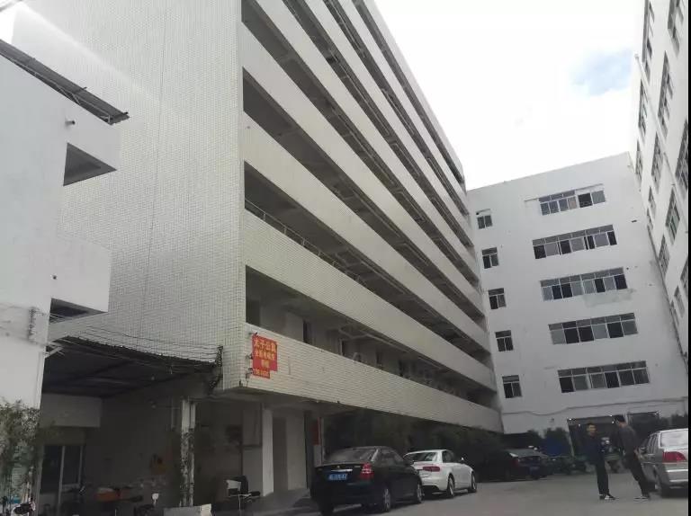 滨江集团陈驰深度解析，开发商背景与市场化租赁机构的差异与比较