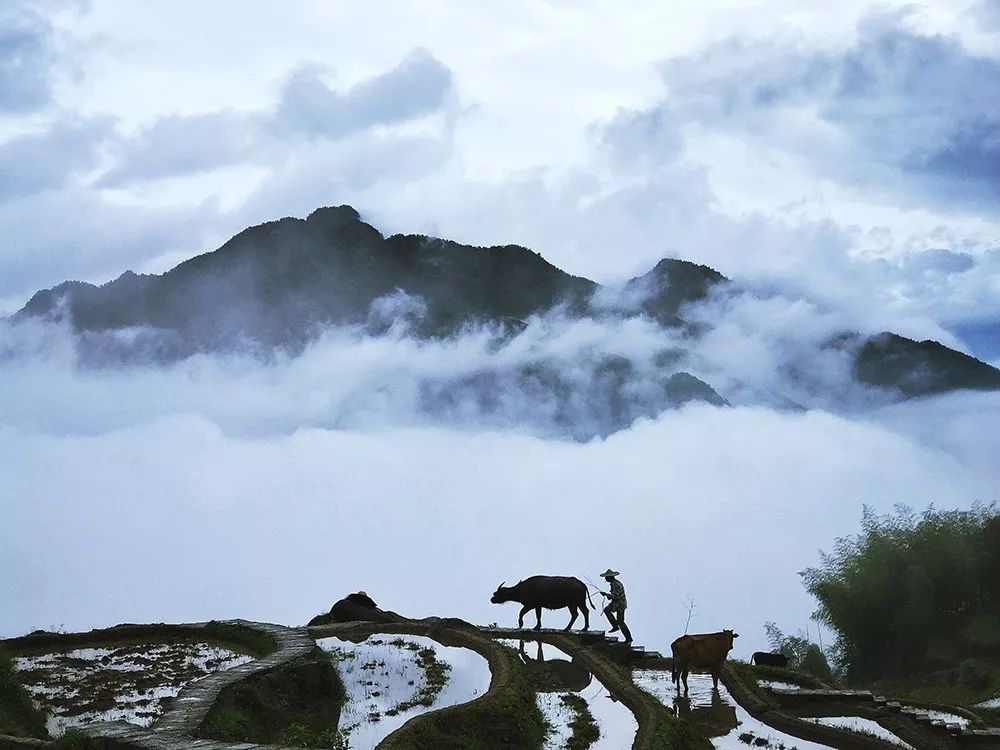 一诺携云诺千山之行，重磅来袭！