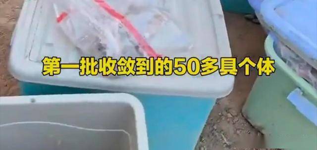 国际 第516页