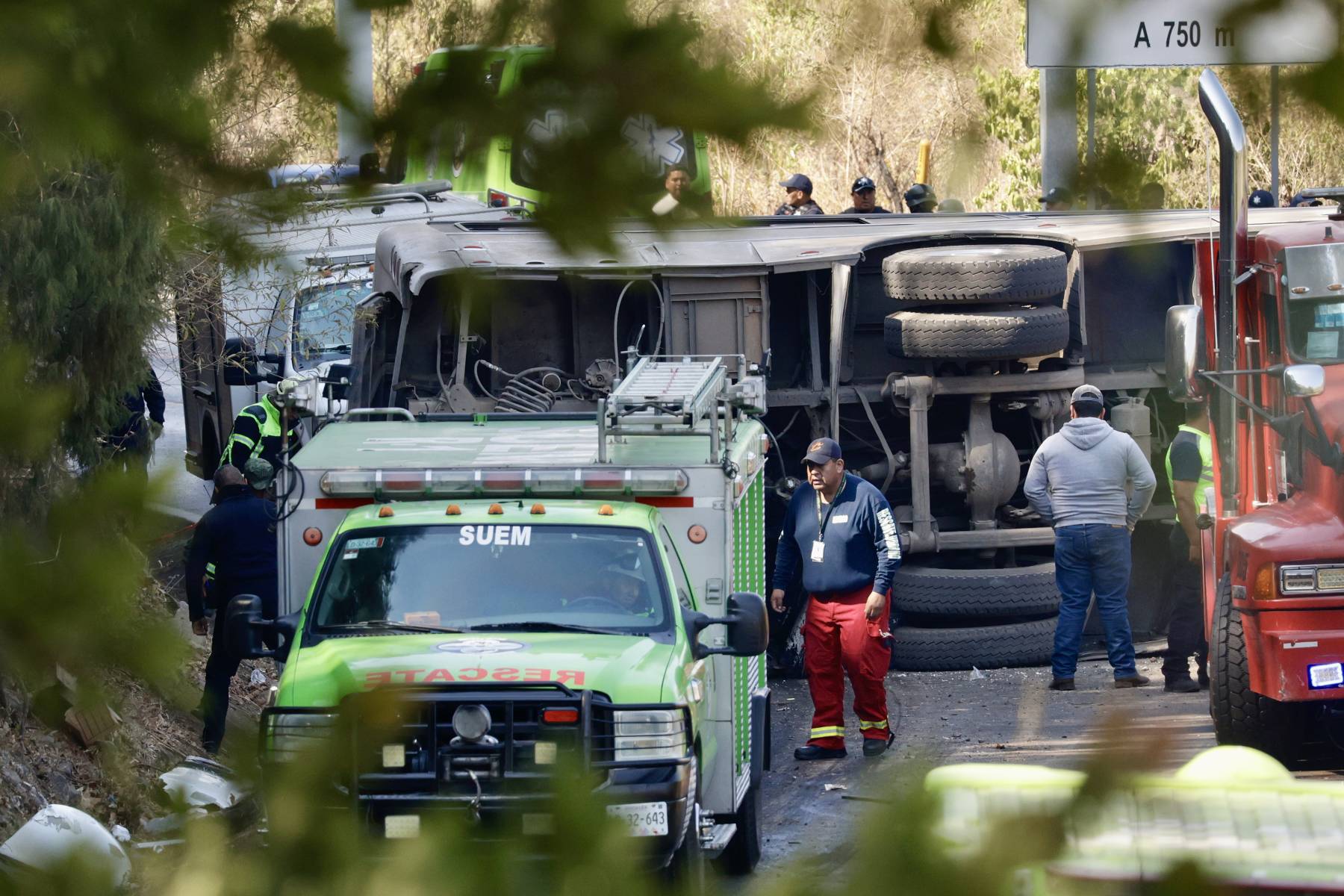 墨西哥西部发生严重车祸，至少15人死亡，37人受伤