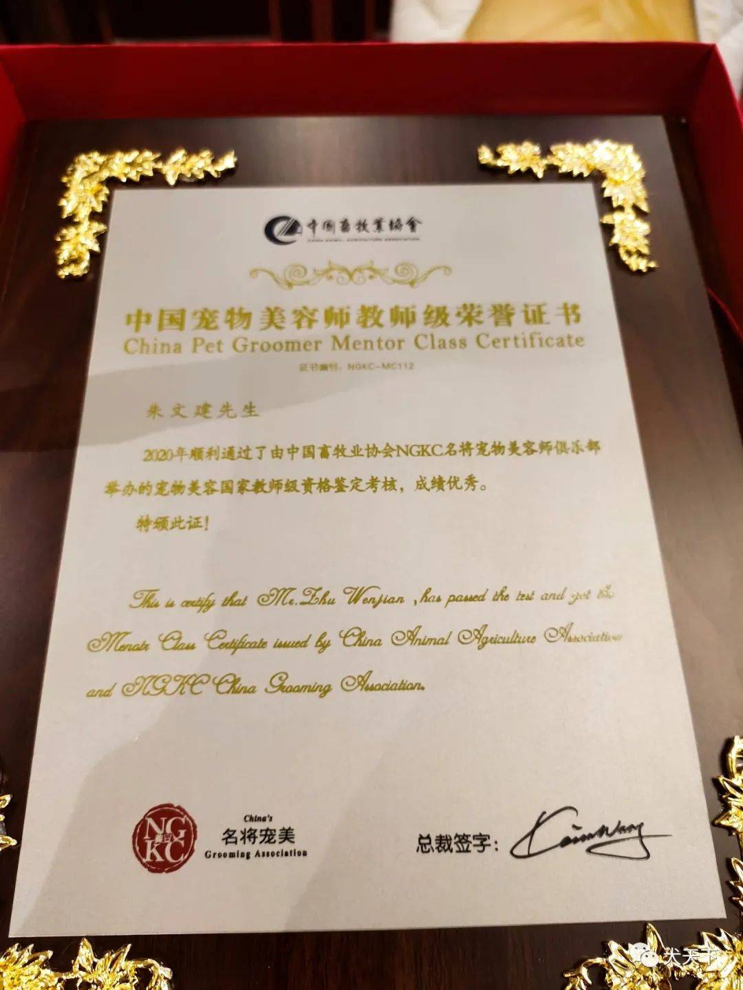 揭秘宠物殡葬师证书背后的中介割韭菜现象，业内深度剖析证书背后的真相