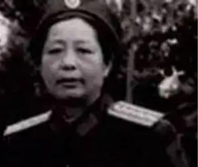 机动战士高达，跨时之战深度解析与影评