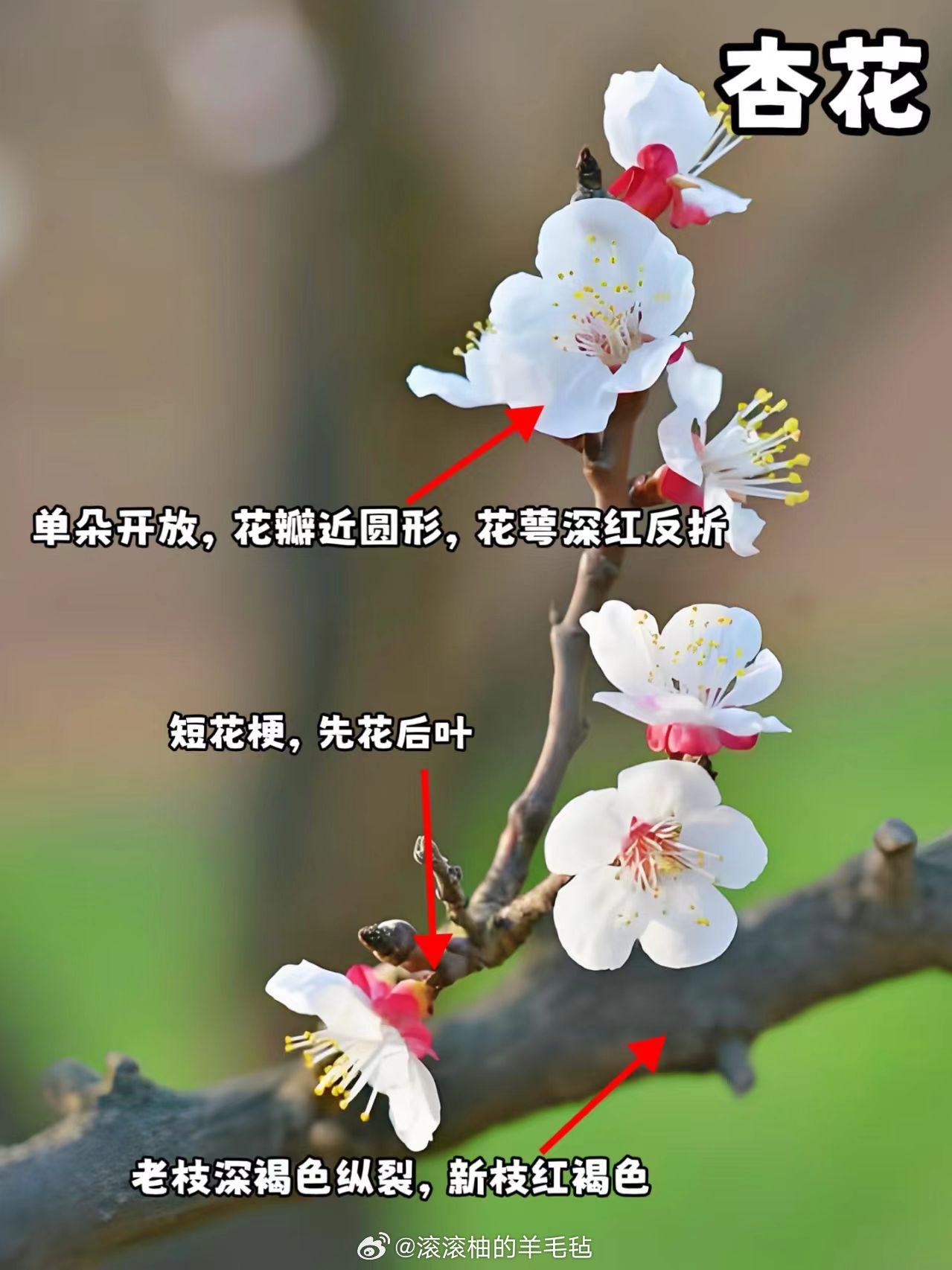 国际 第510页