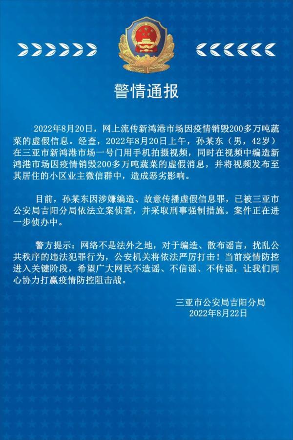 三亚新鸿港市场暂停交易传闻及其对蔬菜供应的影响，官方辟谣与解读