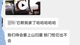 快递员弄丢客户金饰事件，责任与解决方案的思考及后续影响