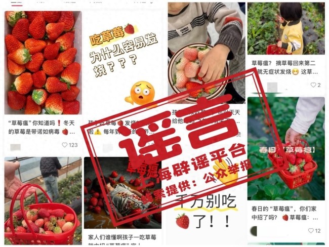 草莓瘟谣言解析，官方辟谣草莓食用安全无虞