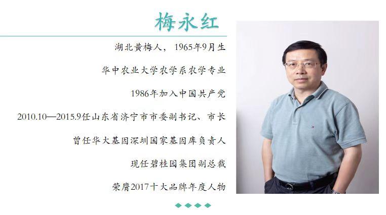 梅永红，济宁市长到深圳山东商会名誉会长的商业转型之路