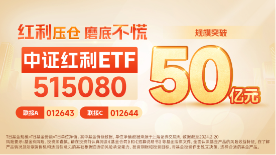 压仓石效应助力中证红利ETF冲击五连阳，长江电力与陕西煤业刷新历史新高的力量解析