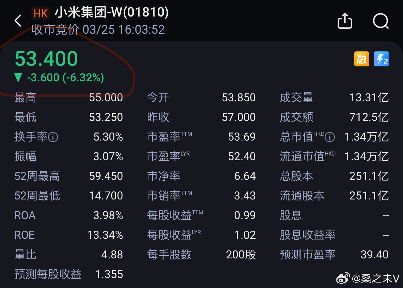 小米集团市值暴跌800亿背后的原因与挑战分析