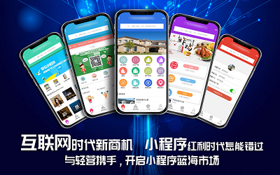 遂平小程序开发公司，地方数字化转型的先锋引领者