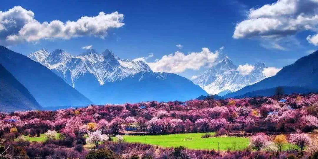 盛夏独家特惠！林芝绝美景点纯玩之旅，报名立享半价优惠！