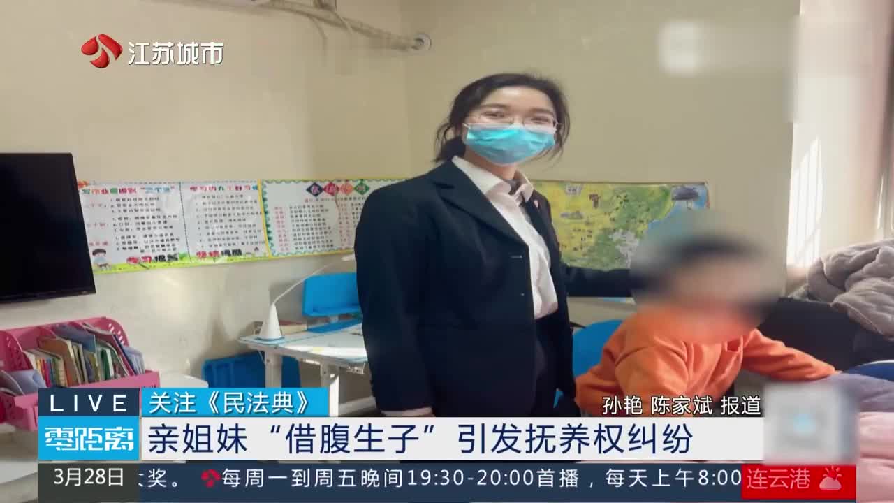 亲姐妹借腹生子纷争，抚养权的法律判定与伦理思考引深思。