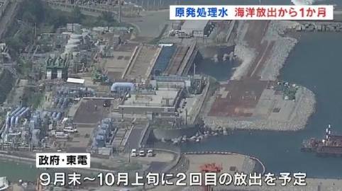 国内 第482页