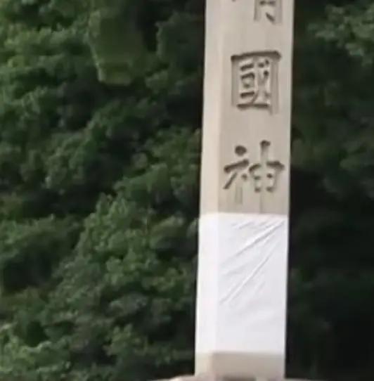 外交部回应海外网红博主来华旅游，深化交流与合作，展现真实中国魅力！