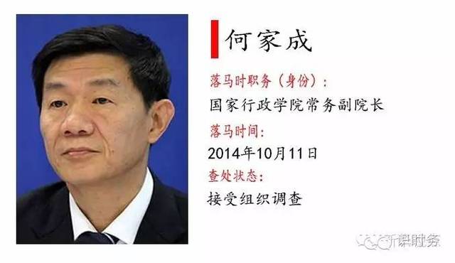 副部级高官巨额受贿案揭秘，别墅里的秘密与4000万惊天案曝光