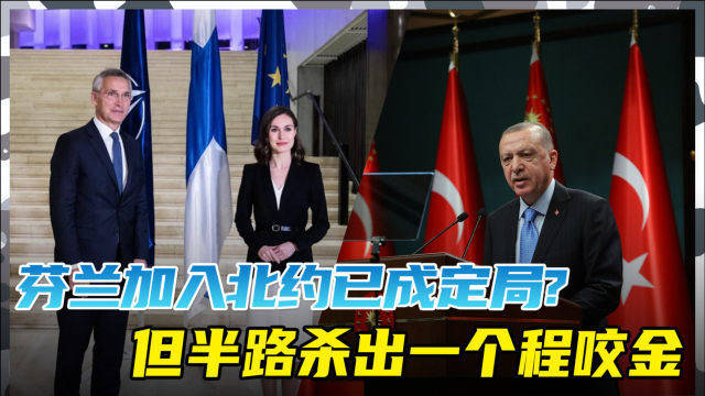 关于两国欲加入北约的立场与我的反对观点，反对两国加入北约的立场分析
