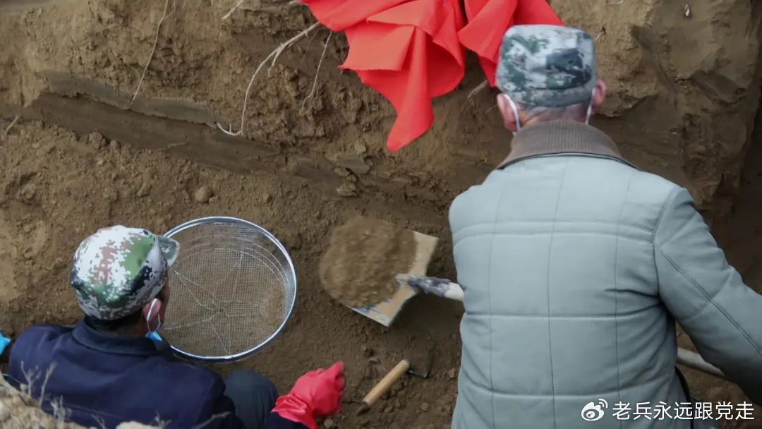 烈士骸骨与树根共生，生命的传承与延续
