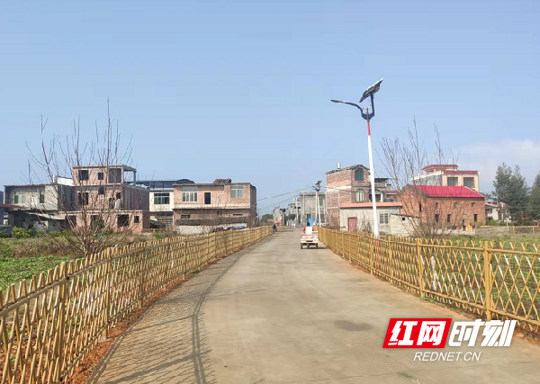 河南孟州中药材产业，强村富民之曲