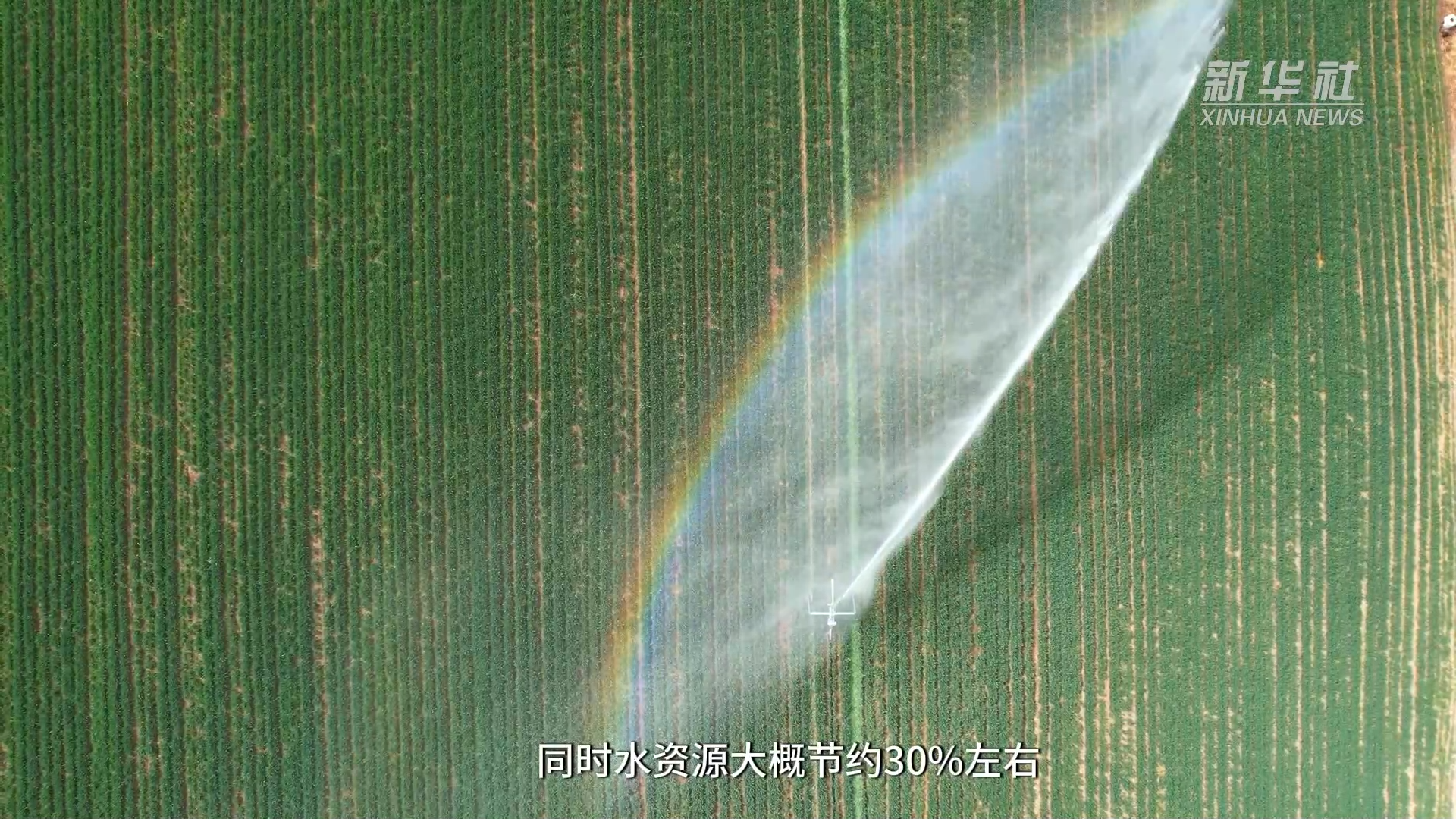 科技助农抢抓农时，解锁春耕密码，科技力量助力春耕生产高效推进