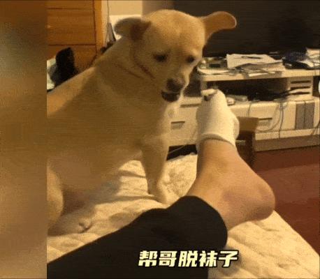 AI与人类创作界限挑战赛，AI识别眼力赛文字组开赛，考验你的辨别力！