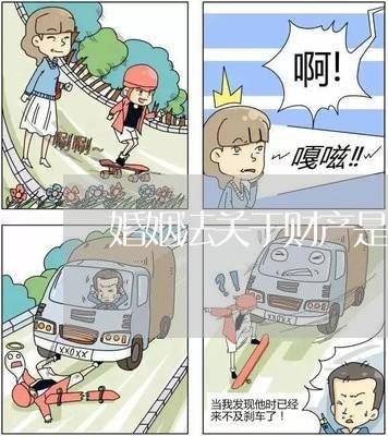 婚姻法中的共同财产深度解析与探讨，法律视野下的财产分配问题