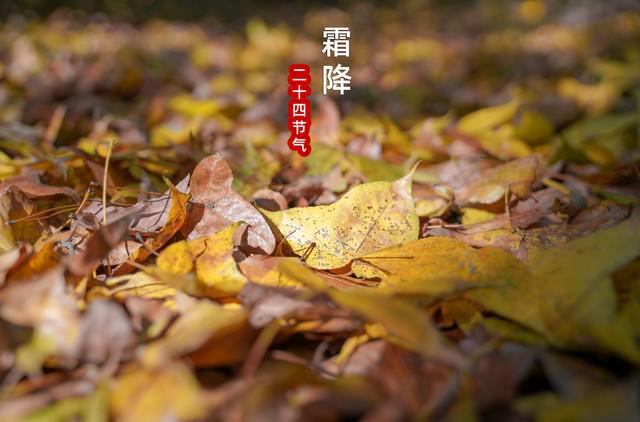 谁把我的中药换成了冰美式？揭秘中药变冰美式背后的故事