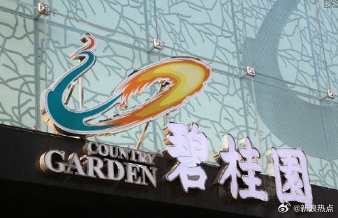 碧桂园清盘传闻解析，债权人申请传闻不实，内部人士回应揭秘真相
