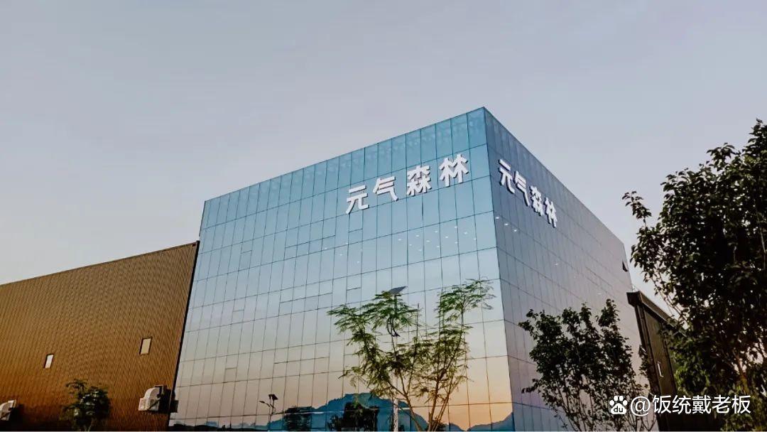 解构元气森林，背后的故事——疯子、傻子和厨子的探险之旅