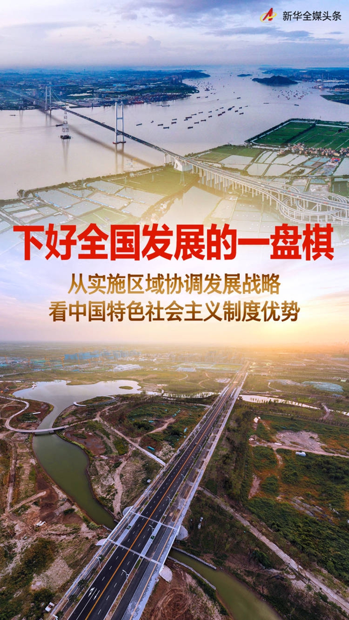 中国特色社会主义制度优势下的区域协调发展战略，全国发展一盘棋的启示与展望