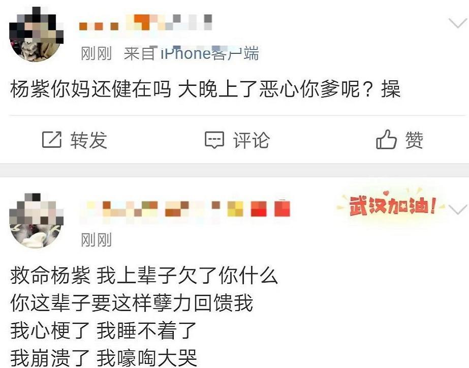 维权之路，妥善处理纠纷与权益保护之道