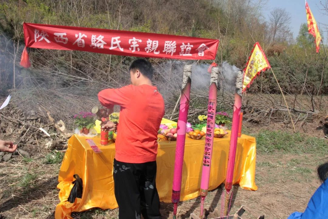 太公坟前露营，家族荣耀的庄重祭祖仪式，三十余人家族成员共聚一堂