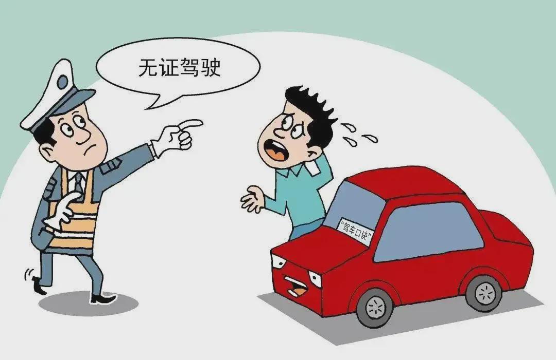 部委公务员的驾车选择，车辆类型与考量因素的探讨