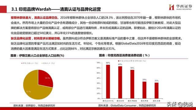 看点 第451页