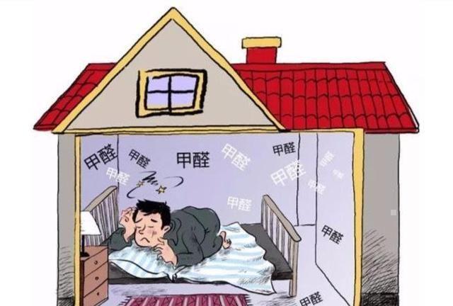 租房甲醛超标引发争议，女子遭遇中介无理指责背后的真相与应对之道（揭秘甲醛超标背后的真相）