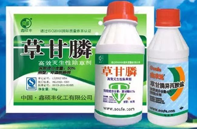 国内 第456页