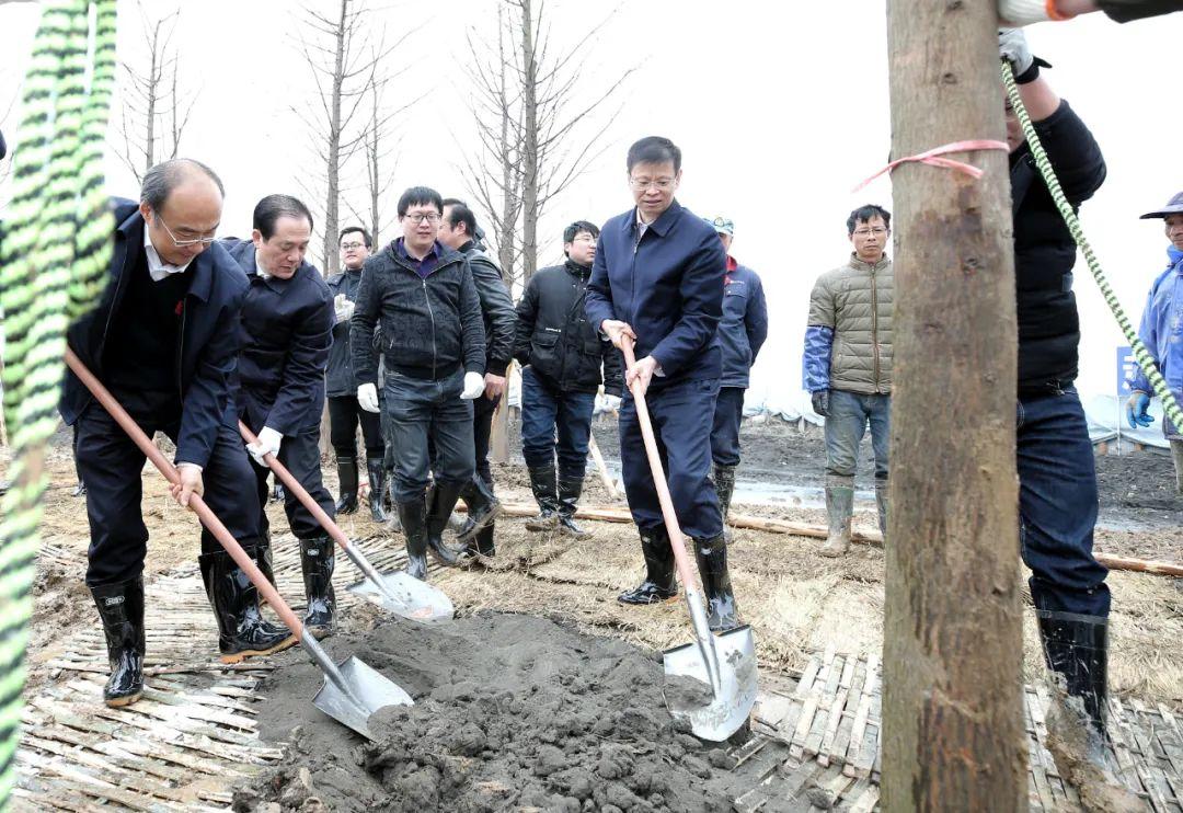 朱民呼吁，将婴儿教育纳入义务教育范围的重要性