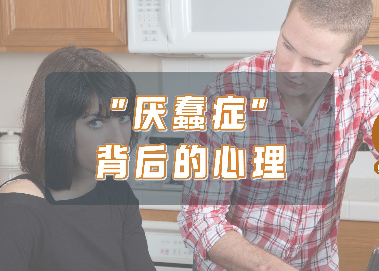 厌蠢现象的底层逻辑探究，探究其根源与本质原因