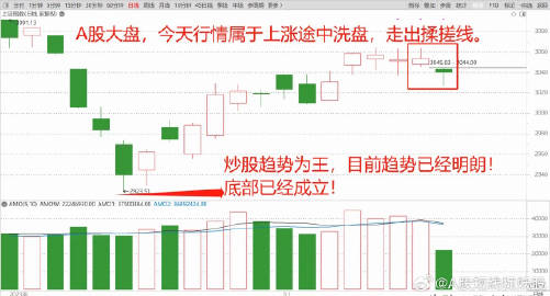 中木国际复牌飙升，尾盘涨幅扩大逾四倍成股市新焦点。