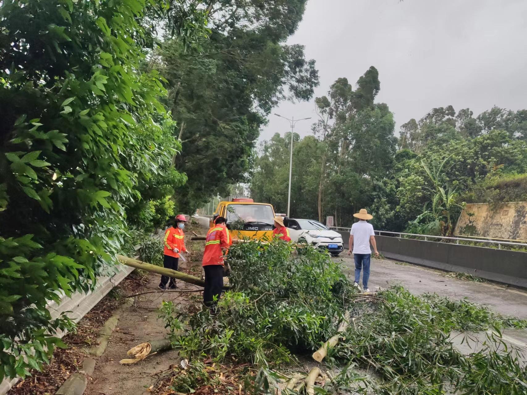 台风暹芭强势来袭，农业农村部紧急部署应对猛烈降雨，相关地区需警惕！