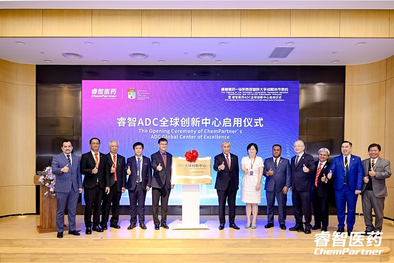 睿智医药CEO辞职引发高管层动荡与业绩下滑关注，一年内高管名单变动频繁