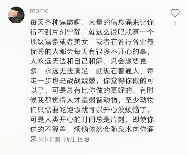 看点 第433页