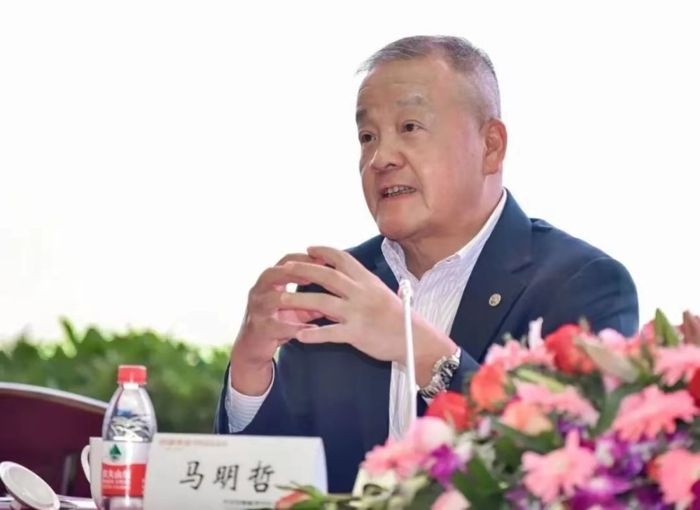 中国平安董事长马明哲，推动改革创新，助力高质量发展，为中国式现代化献力献策