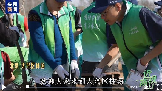 近观两山，树木与人的镜像观察