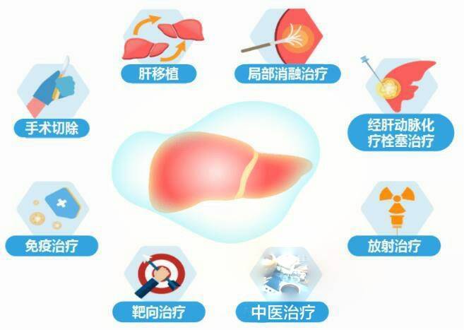 肝癌治疗新技术与策略，适用性分析及其前景探讨
